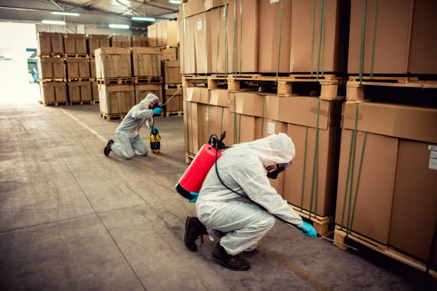Wasp Removal Services in Heber, UT