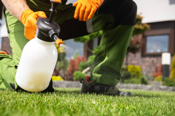 Best Ant Control Services  in Heber, UT