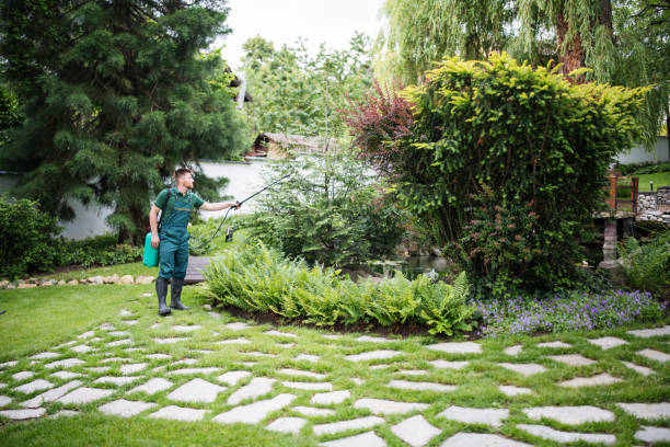 Best Affordable Pest Control Services  in Heber, UT