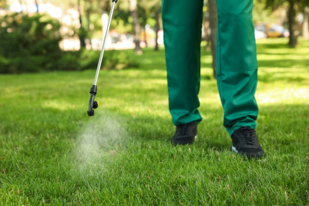 Pest Control for Restaurants in Heber, UT
