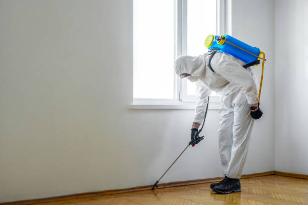 Best Best Pest Control Near Me  in Heber, UT