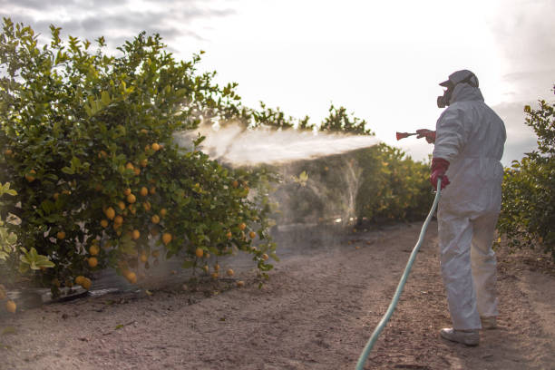Pest Control Cost in Heber, UT