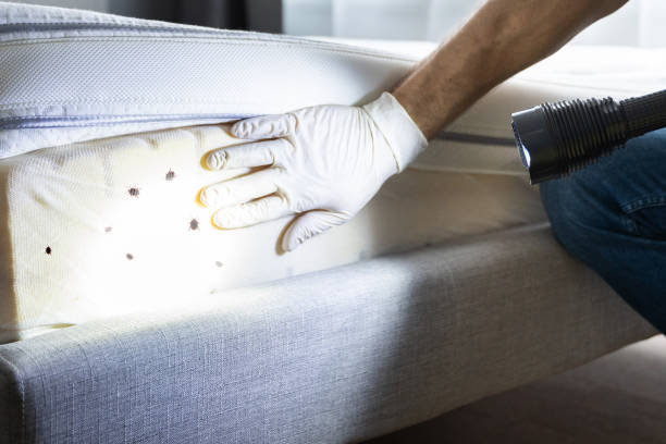 Best Best Pest Control Companies  in Heber, UT