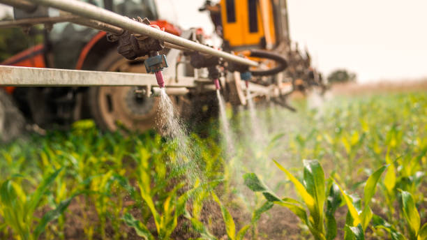 Best Pest Control Cost  in Heber, UT